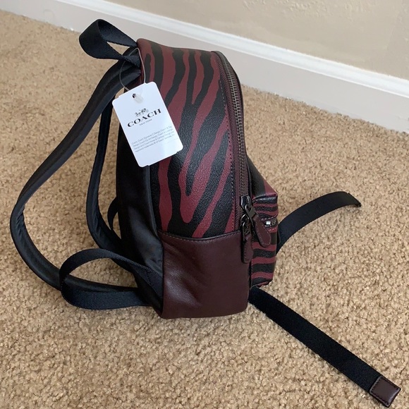 Coach - Picture 7 of 15